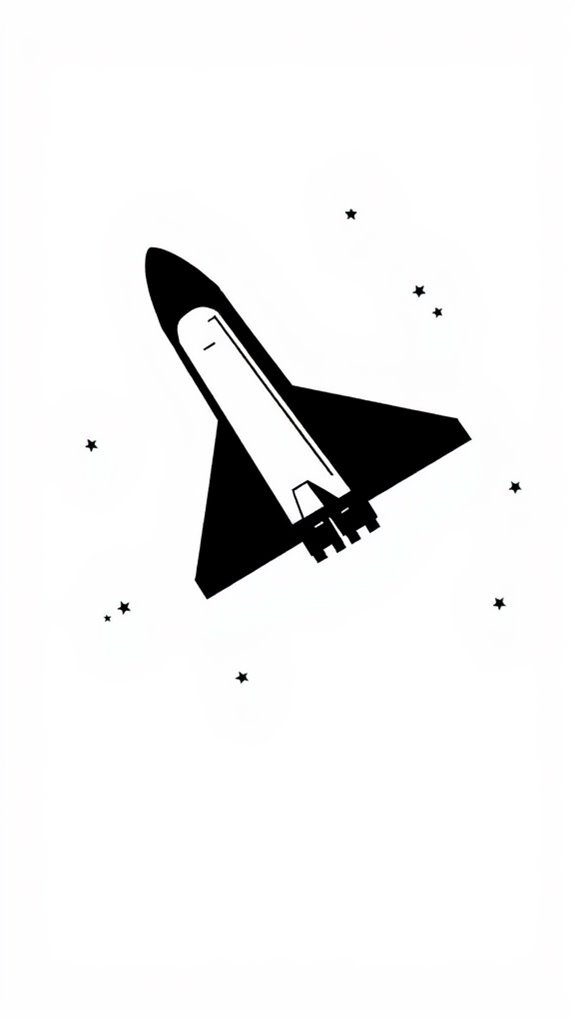 black and white shuttle silhouette