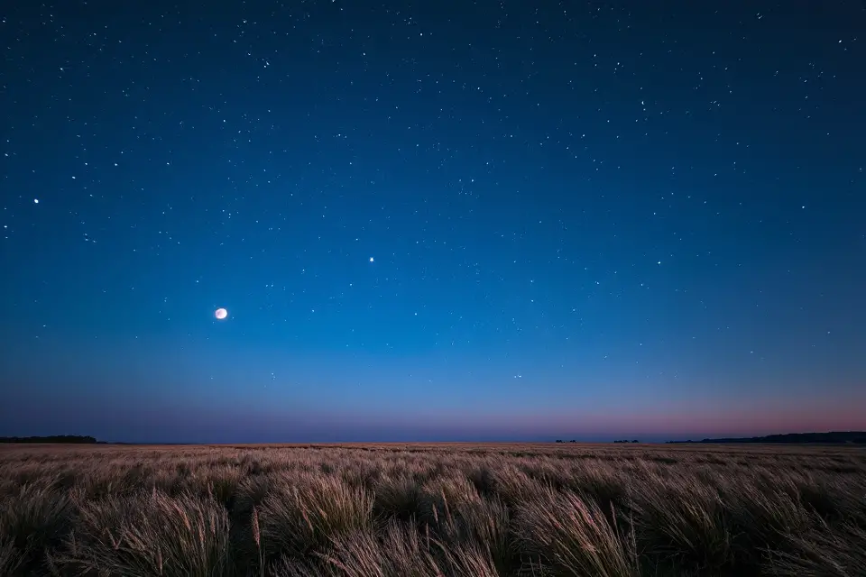 captivating constellation open field