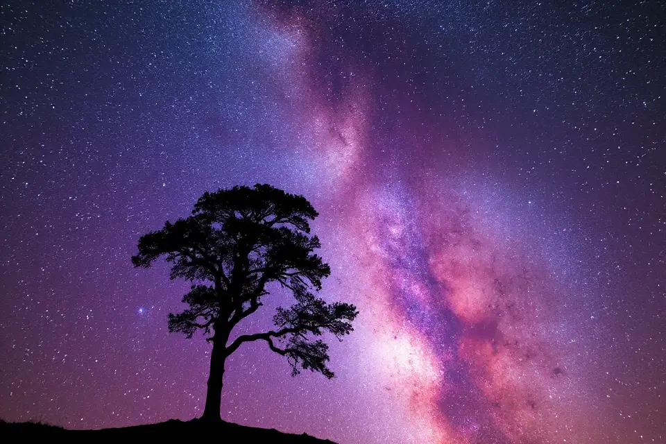 nebula night sky silhouette