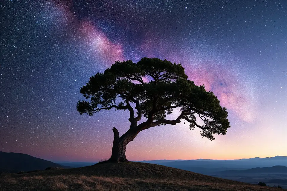 solitary tree space horizon