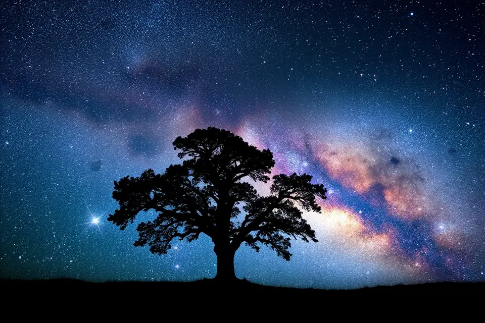 tree silhouette cosmic backdrop
